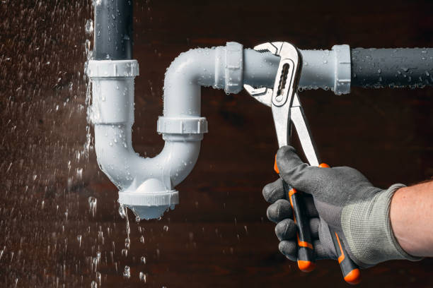 Professional Plumbing technician working in Virginia State University, VA
